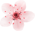 flower_4